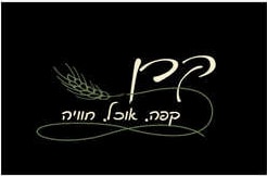 לוגו לקוח